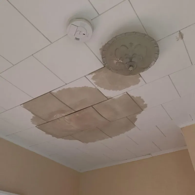 Ceiling Water Damage Repair in Fairview-Ferndale, PA