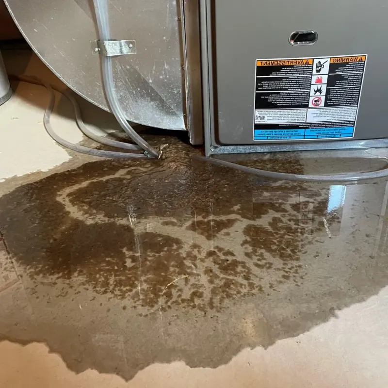 Pipe Burst and Leak Restoration in Fairview-Ferndale, PA